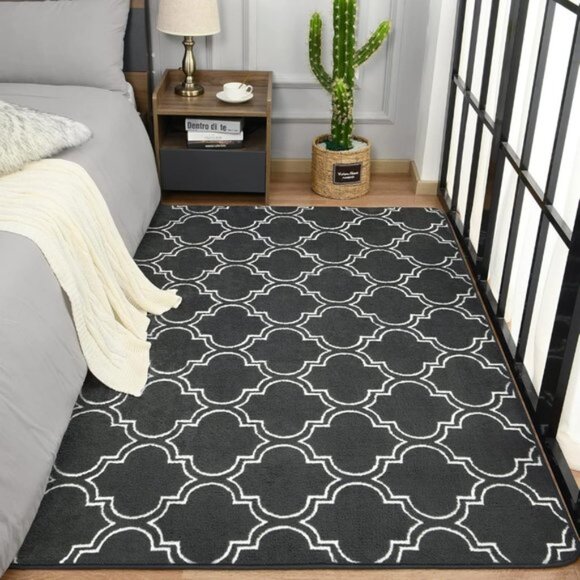 Amazon.com: EVOIONOS Ultra Soft Area Rug for Bedroom, 4x6  New Shag Geometric 4x6 Area Rug, Fluffy Foam Carpet for Home or Room Decor